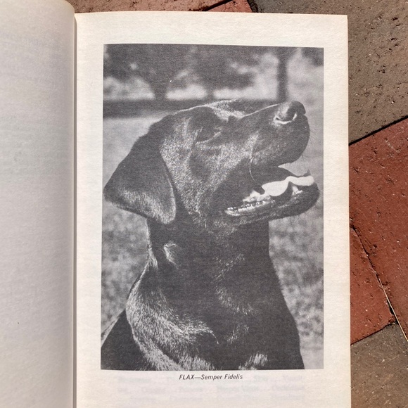 2 Dog Care Female The Labrador Retriever Canine Vintage Black Lab Books Animals - Picture 2 of 14